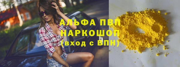 шишки Инсар