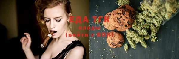 шишки Инсар