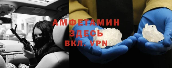 шишки Инсар