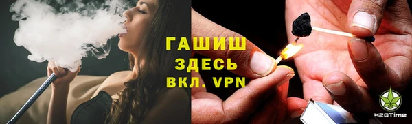 шишки Инсар