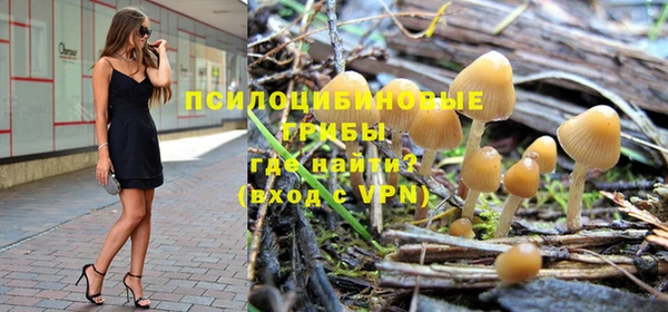 шишки Инсар