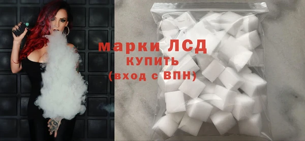 шишки Инсар