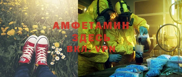 шишки Инсар