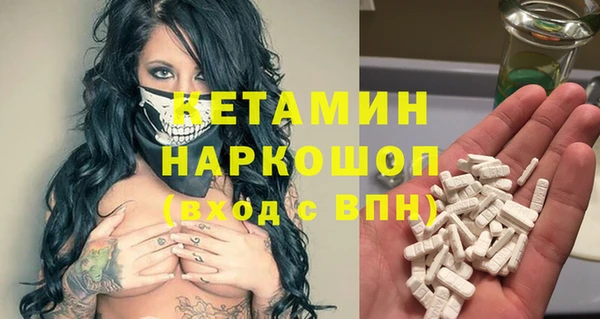 шишки Инсар