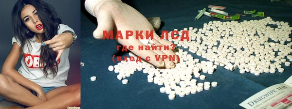 шишки Инсар