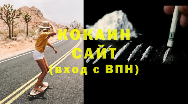 шишки Инсар