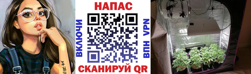 Купить  Тавда  МАРИХУАНА THC 21% 